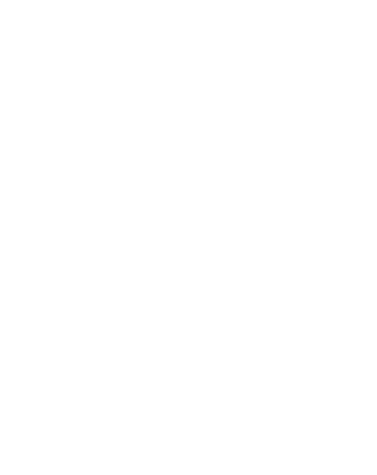 Raspberry Pi Icon